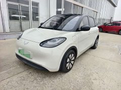 Wuling Binguo 333km Lingxi Connected Edition - ფოტო 1