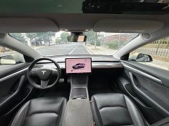 Tesla Model 3 2022 Performance All-Wheel Drive - ფოტო 10