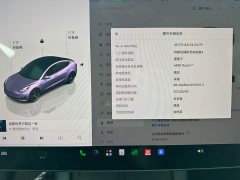 Tesla Model 3 2022 Performance All-Wheel Drive - ფოტო 11