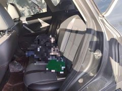 Geely Bingyue 1.5T DCT Platinum Edition - ფოტო 18