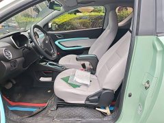Chery Ant 200,000 Ant Fans Edition Talented Version Ternary Lithium 301km - ფოტო 11