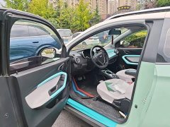 Chery Ant 200,000 Ant Fans Edition Talented Version Ternary Lithium 301km - ფოტო 12