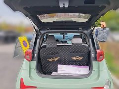 Chery Ant 200,000 Ant Fans Edition Talented Version Ternary Lithium 301km - ფოტო 15