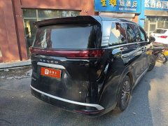 Denza D9 DM-i 970 Luxury - photo 2
