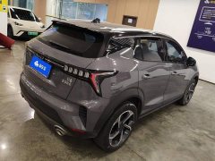 Lynk & Co 06 1.5T Pro - photo 3