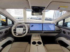 Li Auto i8 Standard Edition - ფოტო 10