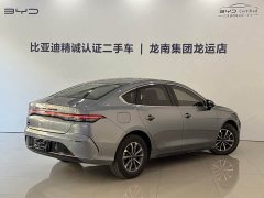 BYD Destroyer 05 Glory Edition DM-i 55KM Luxury - фото 12