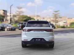 Leapmotor Leapo C11 Extended Range 300 Deluxe Edition - фото 5