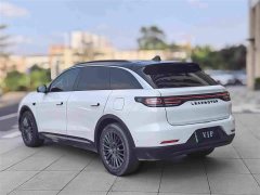 Leapmotor Leapo C11 Extended Range 300 Deluxe Edition - фото 6
