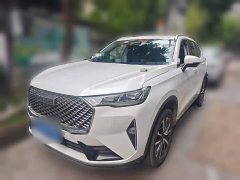 Haval H6 1.5T Two-Wheel Drive Classic Edition - ფოტო 1