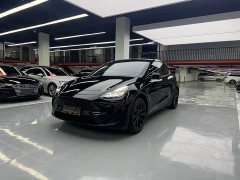 Tesla Model Y Rear-Wheel Drive - ფოტო 1