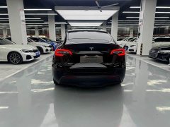 Tesla Model Y Rear-Wheel Drive - ფოტო 13