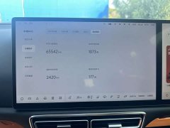 Li Auto L7 Air - ფოტო 15