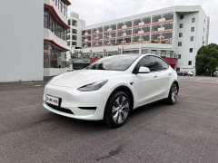 Tesla Model Y Rear-Wheel Drive - photo 1