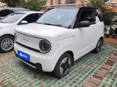 Geely Panda Mini 200km Endurance Edition - ფოტო 1