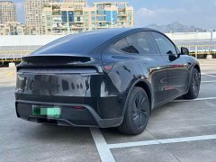 Tesla Model Y Rear-Wheel Drive - ფოტო 6