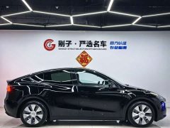 Tesla Model Y Standard Range RWD - ფოტო 16