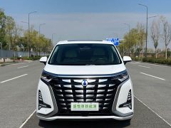 Denza D9 DM-i 980 AWD Luxury - ფოტო 2