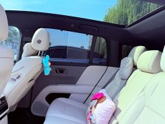 Li Auto i6 Two-Wheel Drive Standard - ფოტო 12
