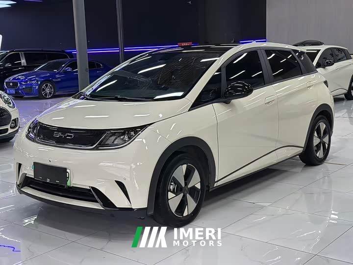 BYD Dolphin 420km Fashion Edition - ავტომობილი ჩინეთიდან