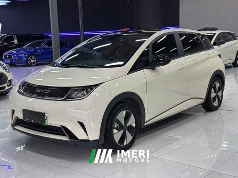 2023 BYD Dolphin 420km Fashion Edition