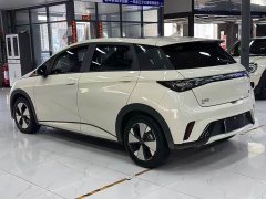 BYD Dolphin 420km Fashion Edition - ფოტო 4