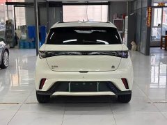 BYD Dolphin 420km Fashion Edition - ფოტო 5