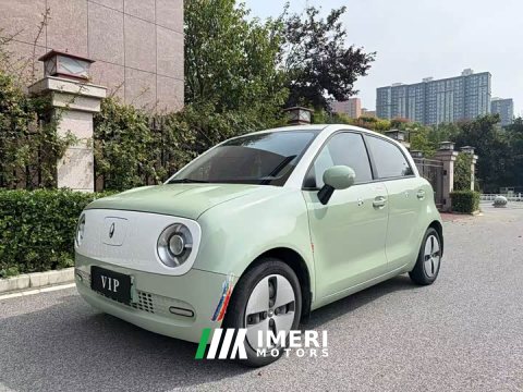 2022 ORA Black Cat Facelift 301km Pet-Lover Edition LFP Battery - ავტომობილი ჩინეთიდან