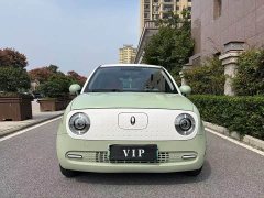 ORA Black Cat Facelift 301km Pet-Lover Edition LFP Battery - ფოტო 2
