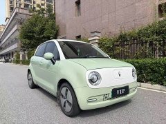 ORA Black Cat Facelift 301km Pet-Lover Edition LFP Battery - ფოტო 3