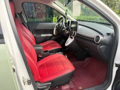 ORA Black Cat Facelift 301km Pet-Lover Edition LFP Battery - ფოტო 5