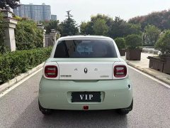 ORA Black Cat Facelift 301km Pet-Lover Edition LFP Battery - ფოტო 8