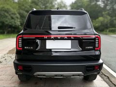 Great Wall Dachshund 1.5T DCT Border Collie Edition - ფოტო 5