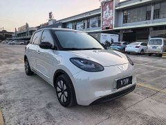 Wuling Binguo 333km Lingxi Connected Edition - ფოტო 3