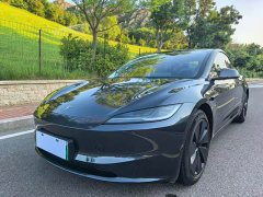 Tesla Model 3 Rear-Wheel Drive - ფოტო 1