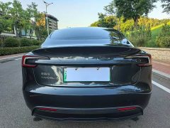 Tesla Model 3 Rear-Wheel Drive - ფოტო 8