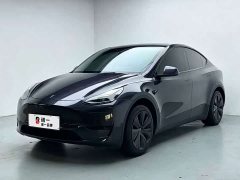 Tesla Model Y Rear-Wheel Drive - photo 1