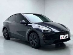 Tesla Model Y Rear-Wheel Drive - photo 3