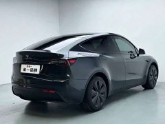 Tesla Model Y Rear-Wheel Drive - photo 4