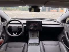 Tesla Model 3 Long Range All-Wheel Drive - ფოტო 12