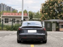 Tesla Model 3 Long Range All-Wheel Drive - ფოტო 5