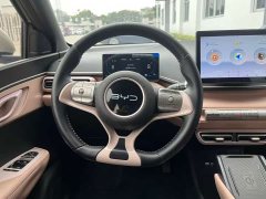 BYD Seagull 305km Freedom Edition - ფოტო 10