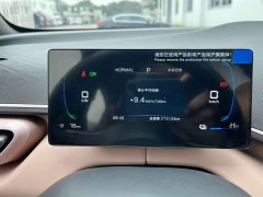BYD Seagull 305km Freedom Edition - ფოტო 11
