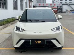 BYD Seagull 305km Freedom Edition - ფოტო 3