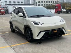 BYD Seagull 305km Freedom Edition - ფოტო 4
