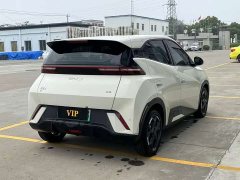 BYD Seagull 305km Freedom Edition - ფოტო 8