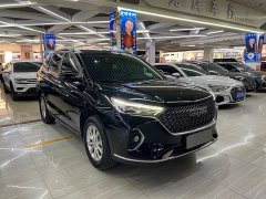 Haval M6 PLUS 1.5T DCT Luxury Smart Connected Edition - ფოტო 3