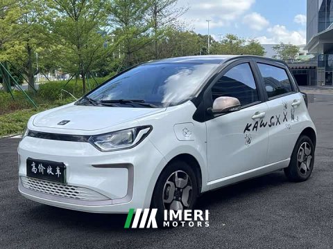 2022 Flower Fairy Starry Sky - car from China