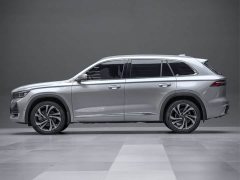 Geely Xingyue L 2.0T High-Power Automatic AWD Flagship - ფოტო 6