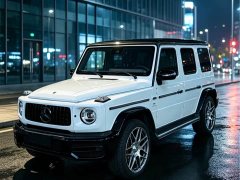 Mercedes-Benz G-Class G 350 - photo 1